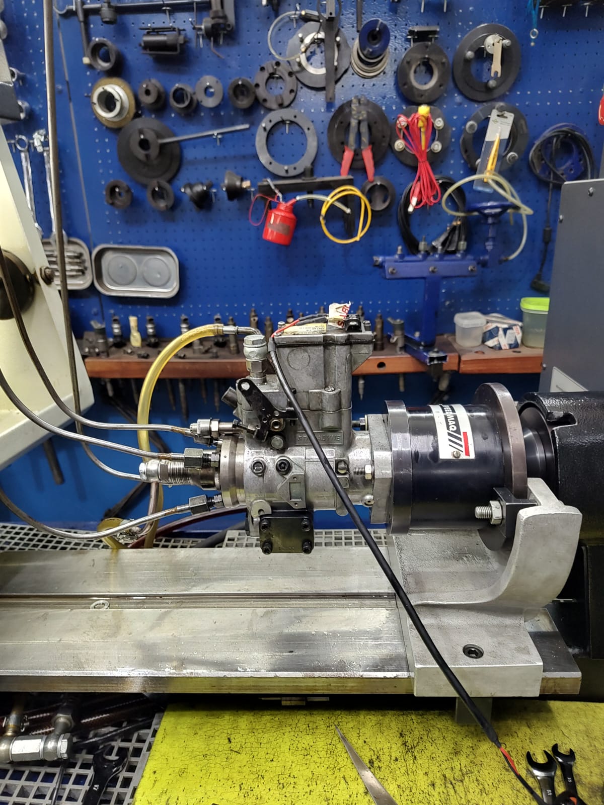 WhatsApp Image 2025-02-03 at 19.39.24.jpeg